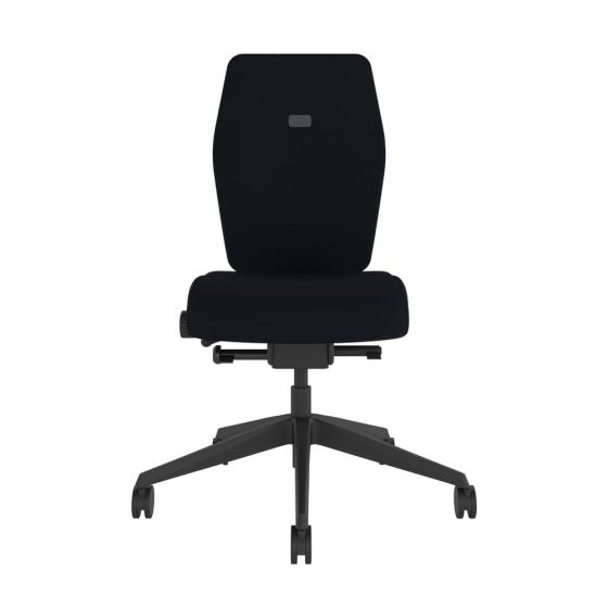 Positiv Plus (medium back) Ergonomic Office Chair - black, front view, without armrests