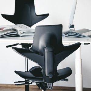 HÅG 8010 Capisco Puls Ergonomic Office Chair 