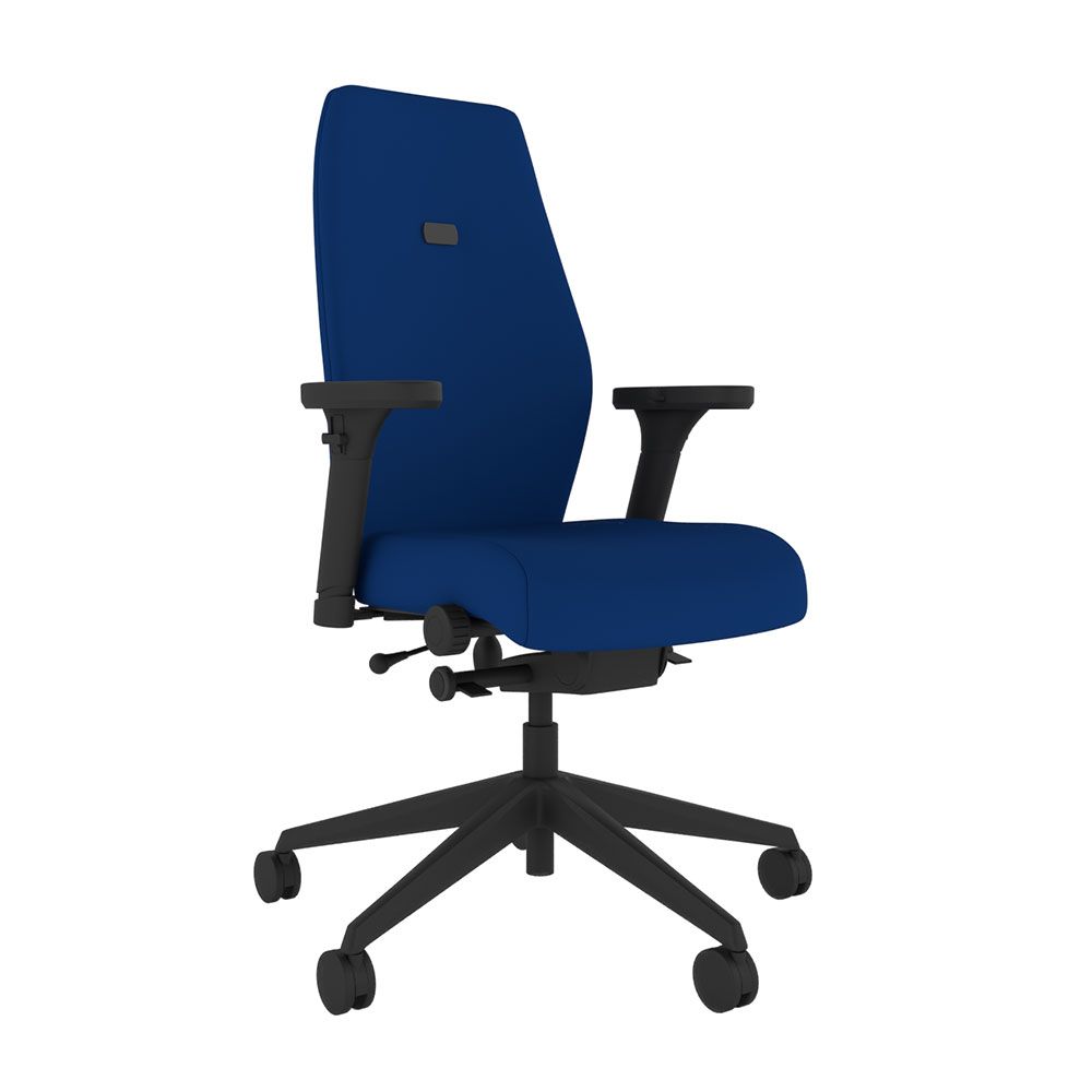 Positiv Plus High Back Ergonomic Chair from Posturite