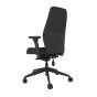 Positiv Plus (high back) Ergonomic Office Chair - black, back angle view, with armrests