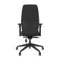 Positiv Plus (high back) Ergonomic Office Chair - black, back view, with armrests