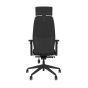 Positiv Plus (high back) Ergonomic Office Chair - black, back view, with armrests and headrest