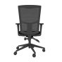 Homeworker Mesh Back Ergonomic Office Chair - back view, with armrests