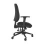 Homeworker Plus High Back Ergonomic Office Chair - side view, with armrests