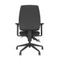 Homeworker Plus High Back Ergonomic Office Chair - back view, with armrests