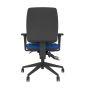 Positiv P-Sit Medium Back Ergonomic Chair - royal blue, back view, with armrests