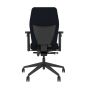 Positiv Plus (medium back) Ergonomic Office Chair - black, back view, with armrests