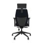 Positiv Plus (medium back) Ergonomic Office Chair - black, back view, with armrests and headrest