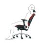 RH Extend 220 (high independent back) Ergonomic Office Chair
