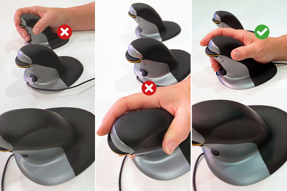 Which Penguin Mouse is right for the size of my hand?