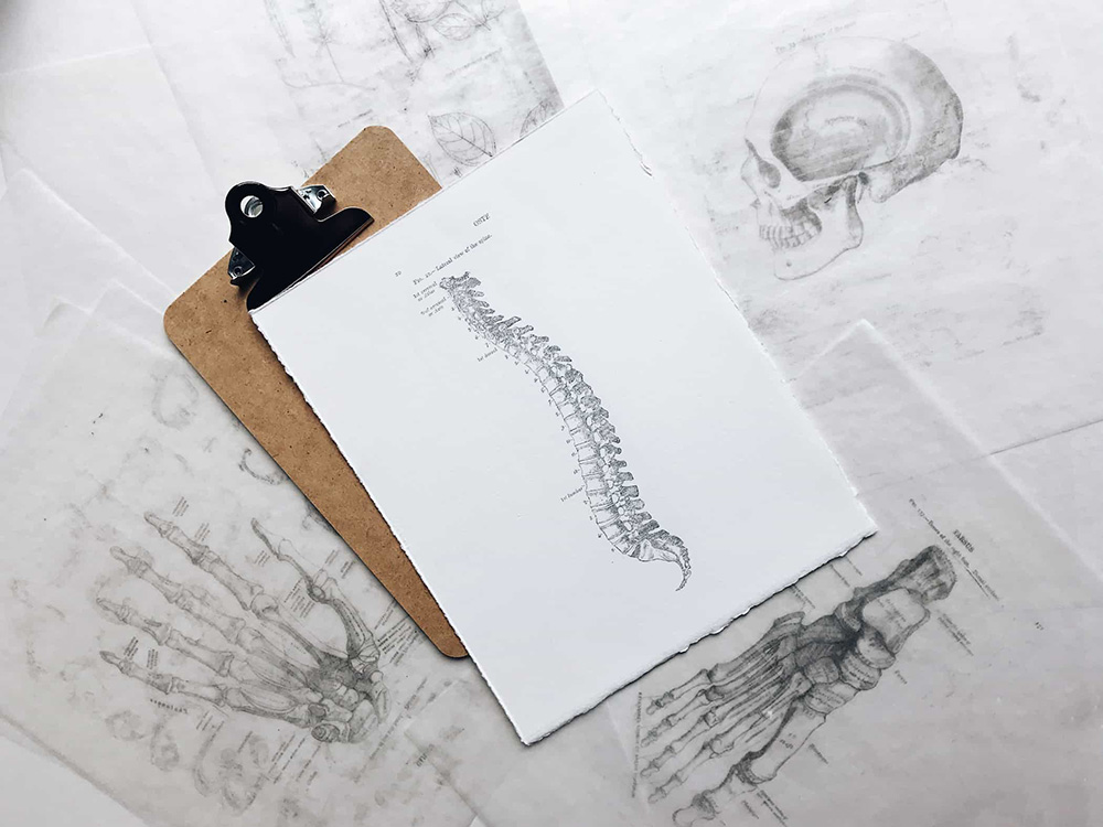 Clipboard showing a black and white drawing of the spine