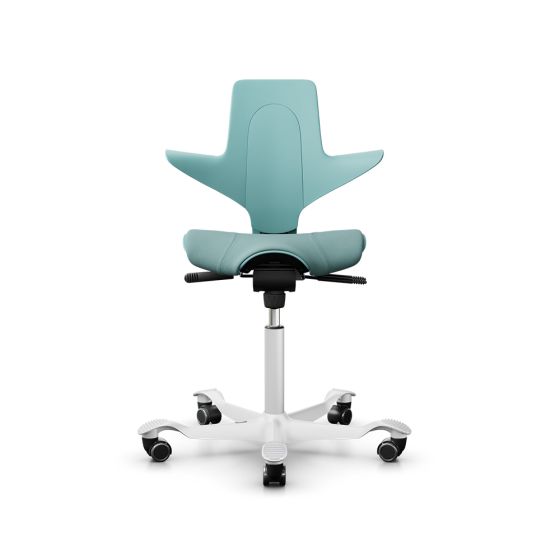 HÅG Capisco Puls 8020 Sea Green Office Chair - front view