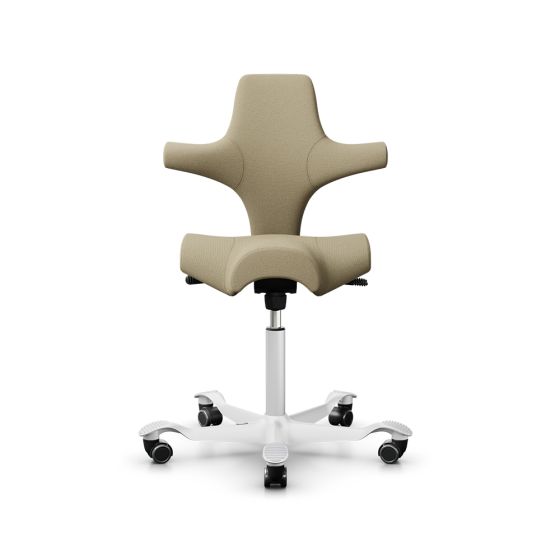 HÅG Capisco 8106 Straw Office Chair - front view
