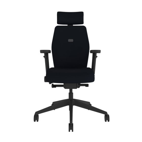 Positiv Plus (medium back) Ergonomic Office Chair - black, front view, with armrests and headrest