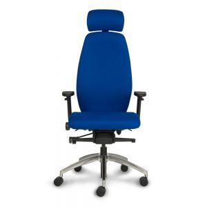 Positiv Plus (high back) Ergonomic Office Chair 