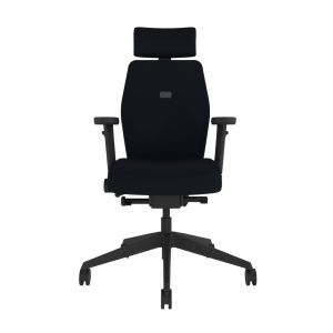 Positiv Plus (medium back) Ergonomic Office Chair - front view
