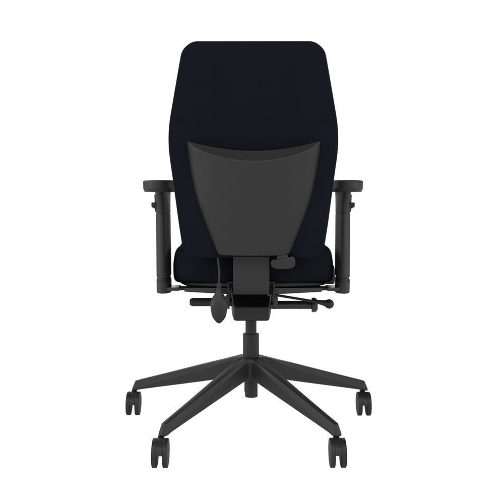 Positiv Plus Medium Back with armrests from Posturite