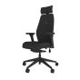 Positiv Plus High Back - black, front angle view, with armrests and headrest