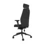 Positiv Plus High Back - black, back angle view, with armrests and headrest