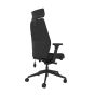 Positiv Plus High Back - black, back angle view, with armrests and headrest
