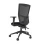 Homeworker Mesh Back Ergonomic Office Chair - back angle view, with armrests