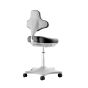 Bimos Labster - Standard Height (450-650 mm), Castors - back angle view