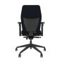 Positiv Plus Medium Back - black, back view, with armrests