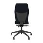 Positiv Plus (medium back) Ergonomic Office Chair - black, back view, without armrests