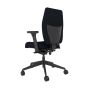 Positiv Plus Medium Back - black, back angle view, with armrests