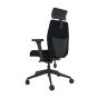 Positiv Plus (medium back) Ergonomic Office Chair - black, back angle view, with armrests and headrest