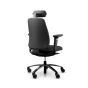 RH New Logic 200 Medium Back Ergonomic Office Chair - back view, with armrests & neckrest