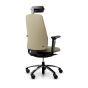 RH New Logic 220 High Back Straw Office Chair - back angle view