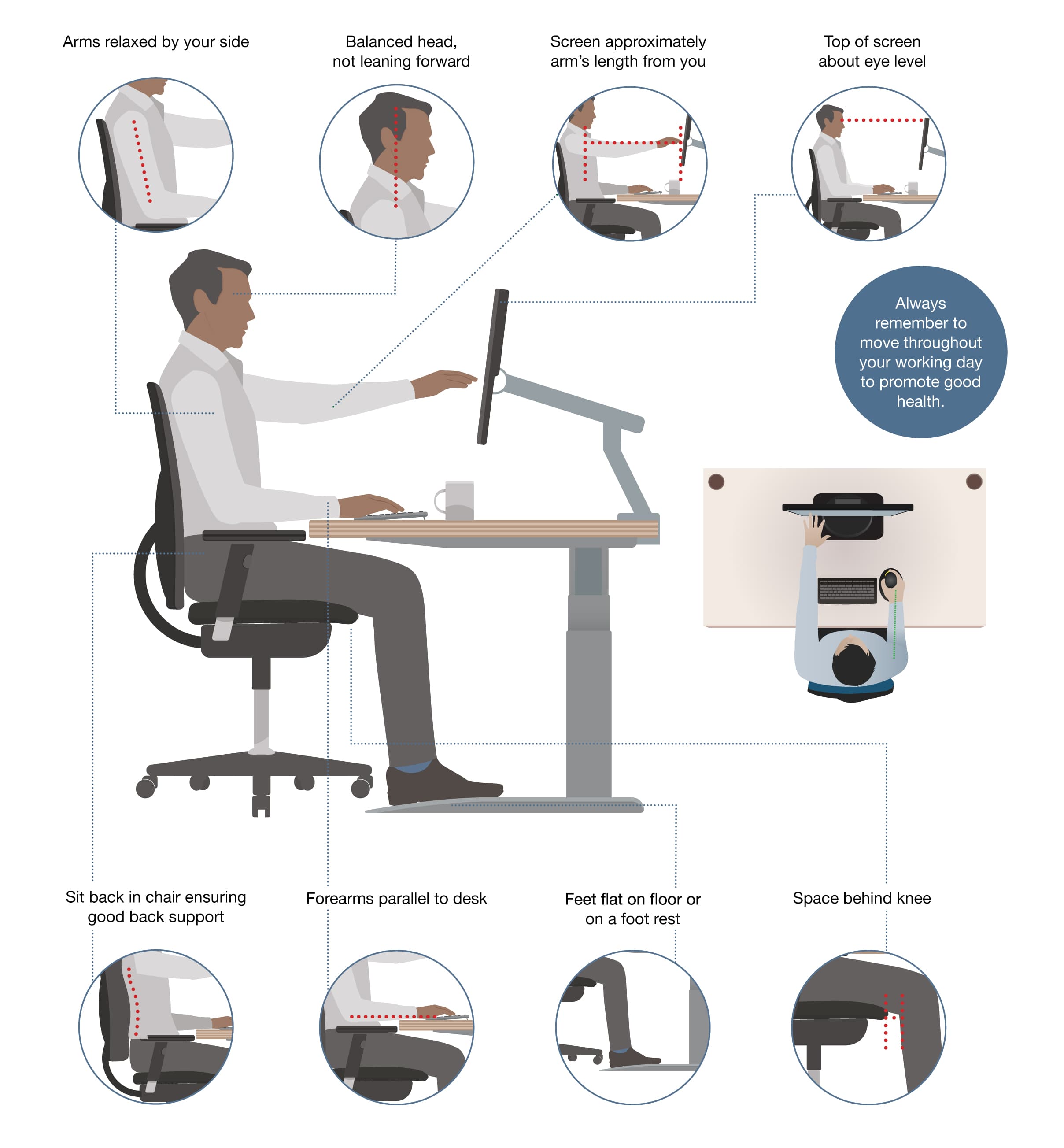 Good posture illustration