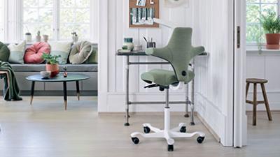 Best ergonomic chairs for homeworkers