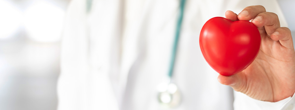 A doctor holding a small red plastic love heart