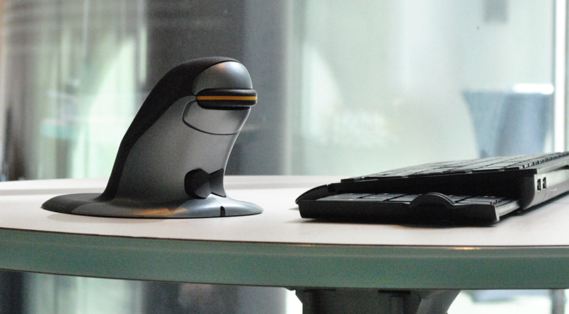 Image of Penguin Mouse on table with laptop beside it