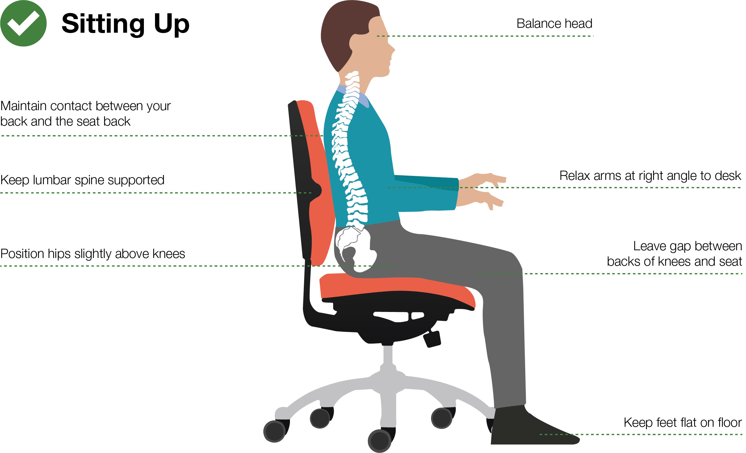 good-posture sitting position with Proper Lumbar Support Placement