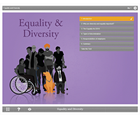 Equality & Diversity E-learning Course Screenshot