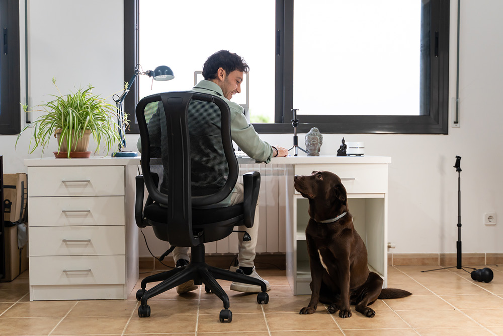 Dog sitting next to desk