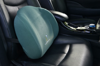Posturite Back Support fixed to a car seat