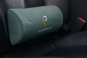The D-shape lumbar roll shown on a car seat