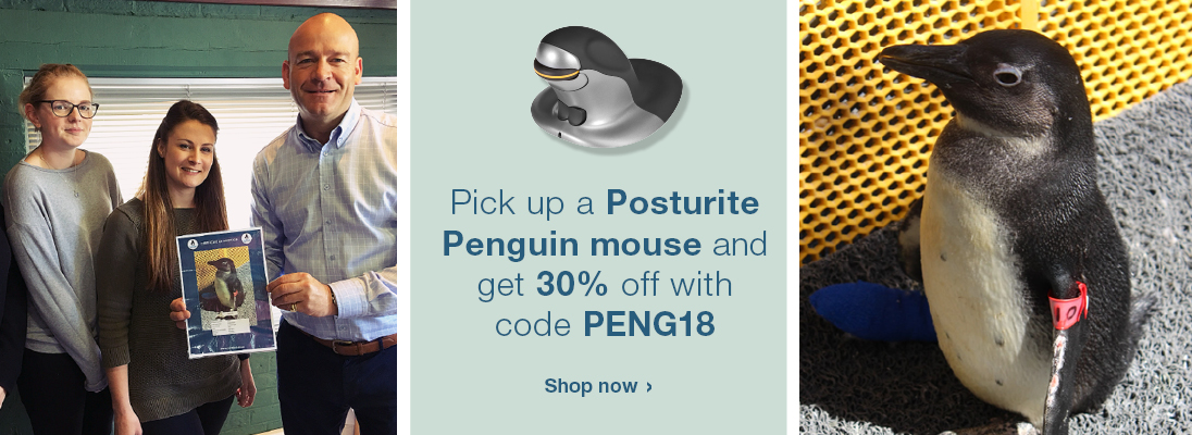 Set of images showing the African penguin that Posturite adopted